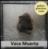 Météorite Mésosidérite - Vaca Muerta, Chili