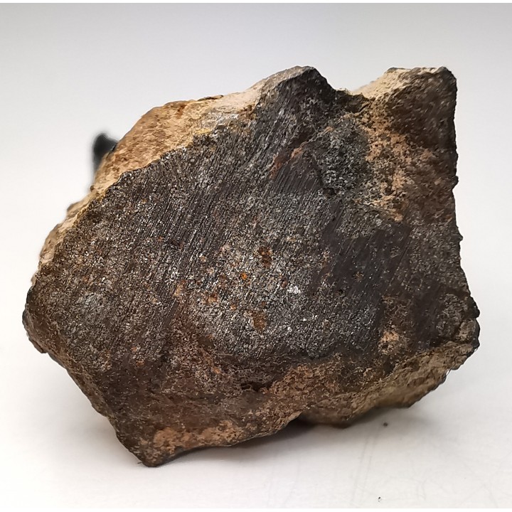 Meteorite Mesosiderite - Vaca Muerta, Chile