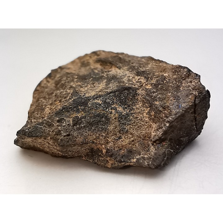 Meteorite Mesosiderite - Vaca Muerta, Chile