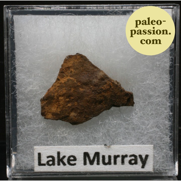 Météorite Octaédrite IIAB - Lake Murry, Oklahoma