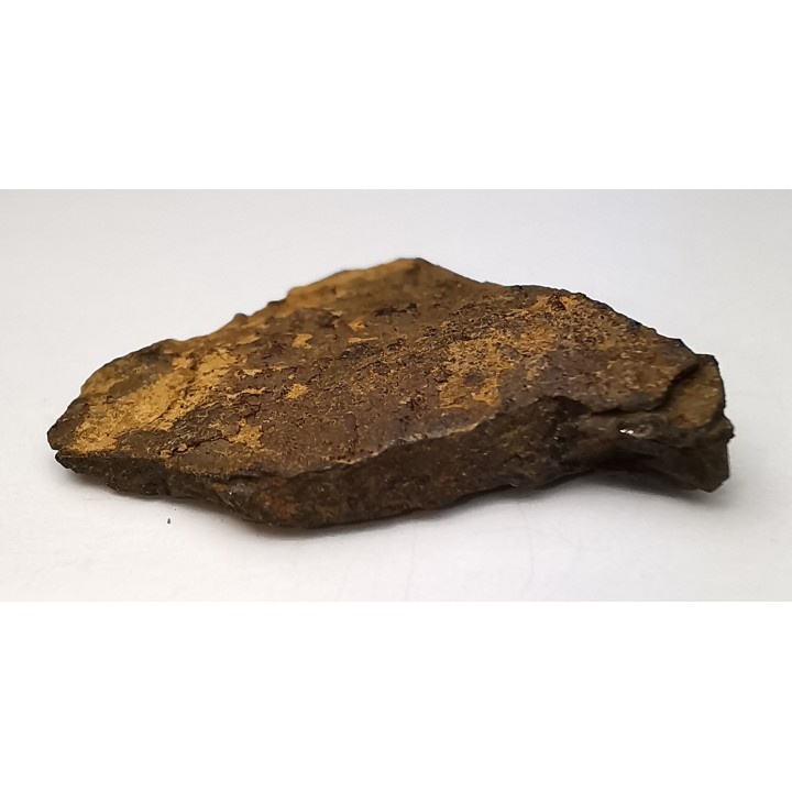 Météorite Octaédrite IIAB - Lake Murry, Oklahoma