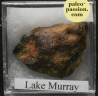 Météorite Octaédrite IIAB - Lake Murry, Oklahoma