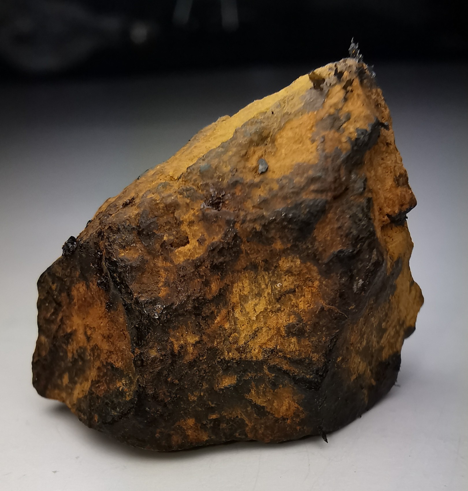 Météorite Octaédrite IIAB - Lake Murry, Oklahoma