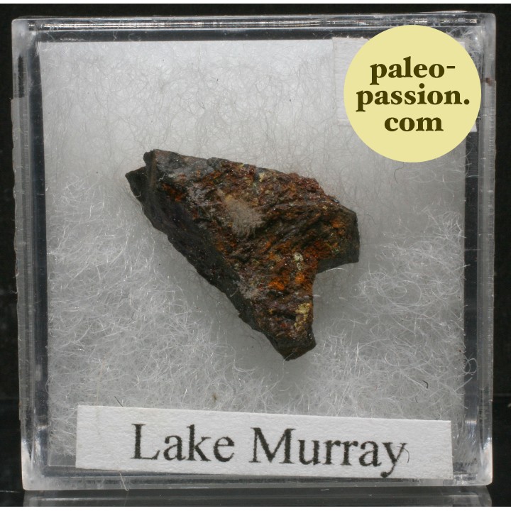 Meteorite Octahedrite IIAB - Lake Murry, Oklahoma
