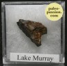 Meteorite Octahedrite IIAB - Lake Murry, Oklahoma
