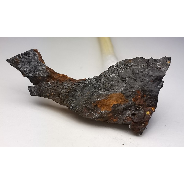 Météorite Octaédrite IIAB - Lake Murry, Oklahoma