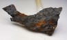 Météorite Octaédrite IIAB - Lake Murry, Oklahoma