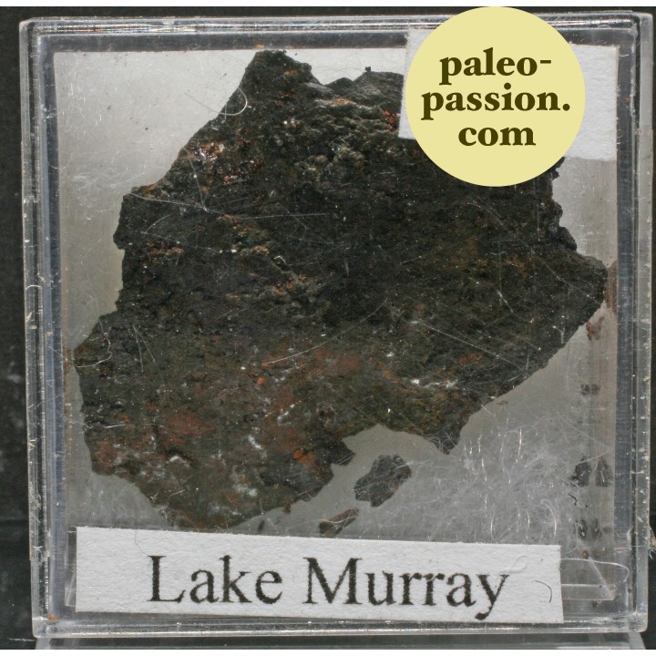 Météorite Octaédrite IIAB - Lake Murry, Oklahoma