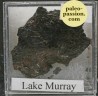 Meteorite Octahedrite IIAB - Lake Murry, Oklahoma