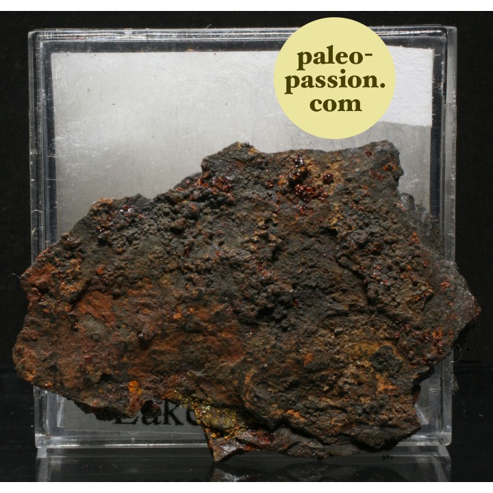 Meteorite Octahedrite IIB - Lake Murry, Oklahoma