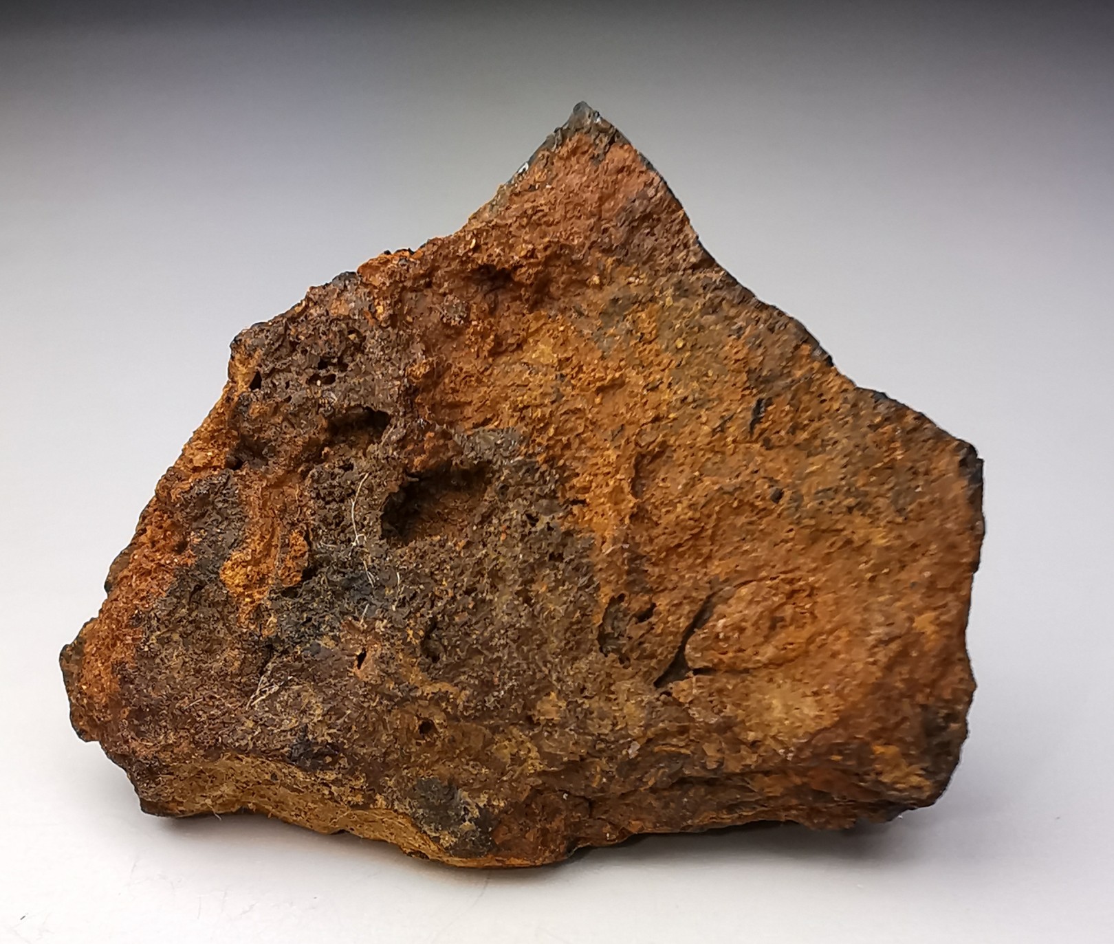 Météorite Octaédrite IIB - Lake Murry, Oklahoma