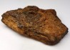 Meteorite Octahedrite IIB - Lake Murry, Oklahoma