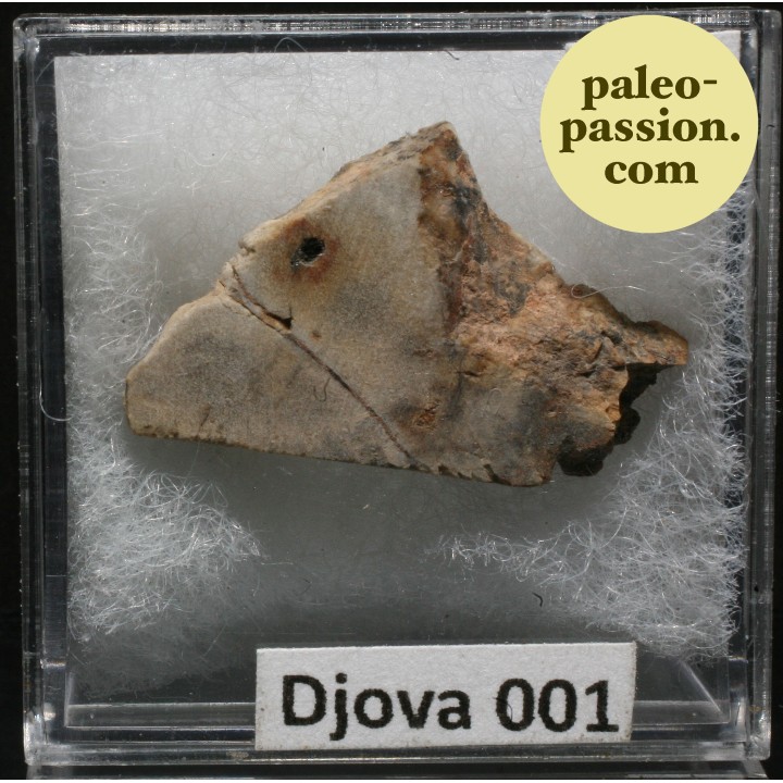 Météorite Enstatite - Djova 001, Algérie