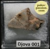 Meteorite Enstatite - Djova 001, Algeria