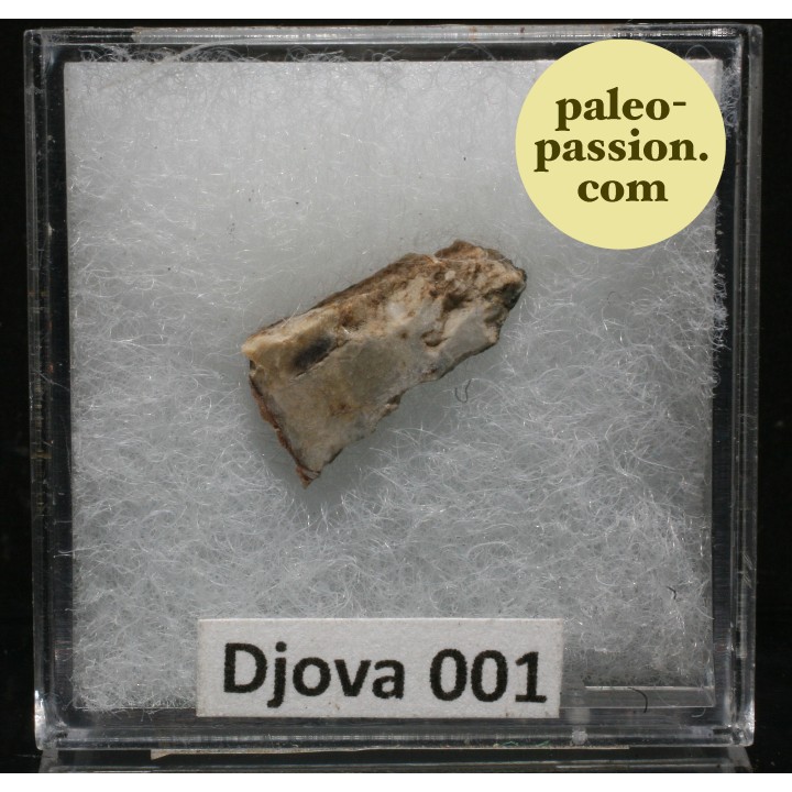Meteorite Enstatite - Djova 001, Algeria