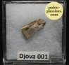 Meteorite Enstatite - Djova 001, Algeria
