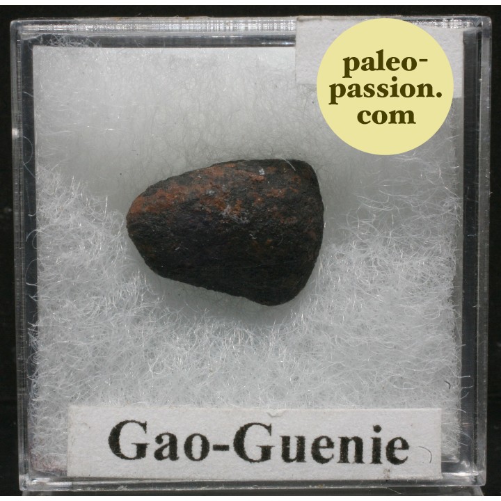 Météorite Chondrite H5 - Gao-Guenie, Burkina Faso