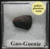 Météorite Chondrite H5 - Gao-Guenie, Burkina Faso