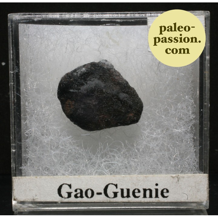 Météorite Chondrite H5 - Gao-Guenie, Burkina Faso