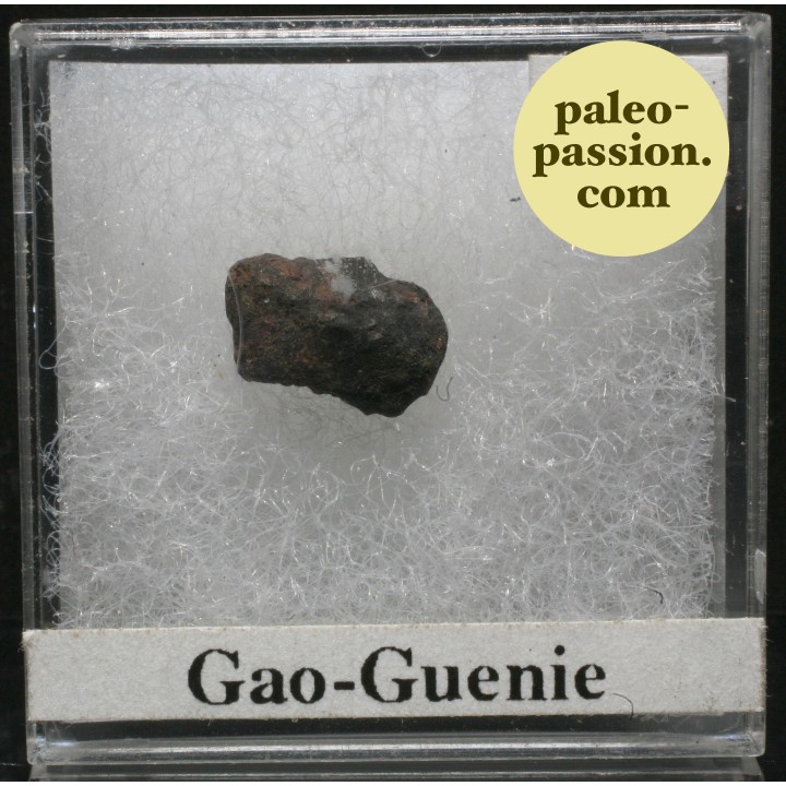 Meteorite Chondrite H5 - Gao-Guenie, Burkina Faso