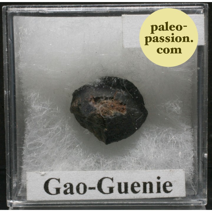 Météorite Chondrite H5 - Gao-Guenie, Burkina Faso