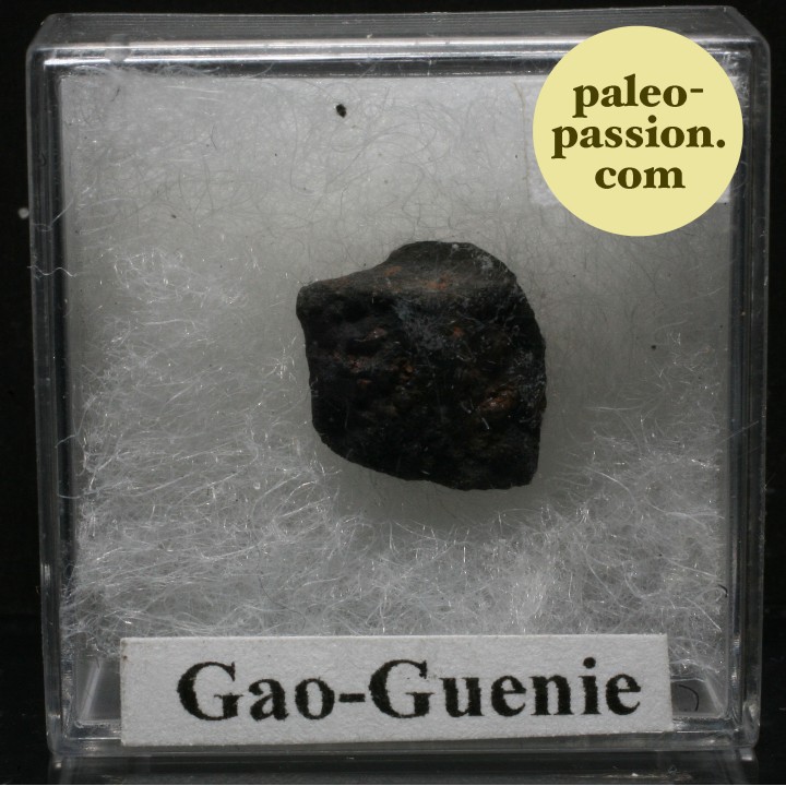 Meteorite Chondrite H5 - Gao-Guenie, Burkina Faso
