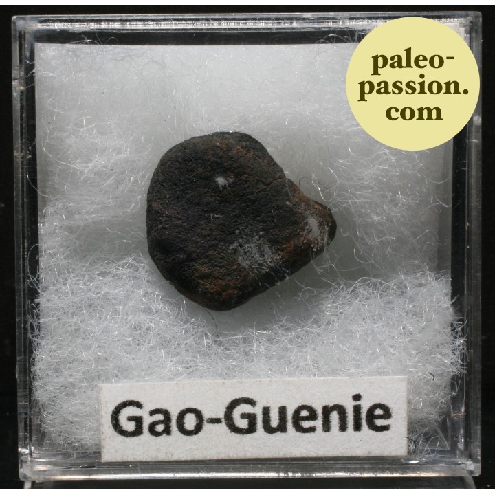 Météorite Chondrite H5 - Gao-Guenie, Burkina Faso