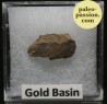 Meteorite Chondrite L4 - Gold Basin, Arizona