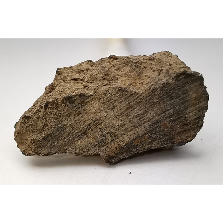 Meteorite Chondrite L4 - Gold Basin, Arizona