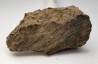 Meteorite Chondrite L4 - Gold Basin, Arizona