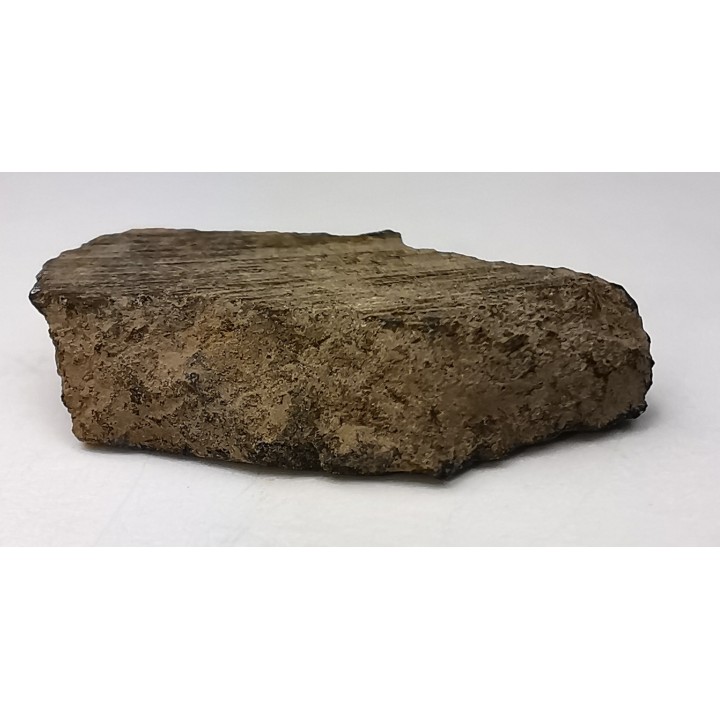Meteorite Chondrite L4 - Gold Basin, Arizona