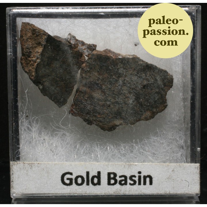 Meteorite Chondrite L4 - Gold Basin, Arizona