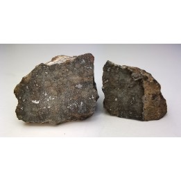 Meteorite Chondrite L4 - Gold Basin, Arizona