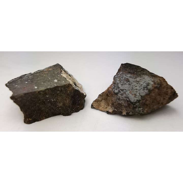 Meteorite Chondrite L4 - Gold Basin, Arizona