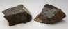 Meteorite Chondrite L4 - Gold Basin, Arizona