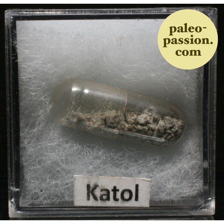 Meteorite Chondrite L6 - Katol, India