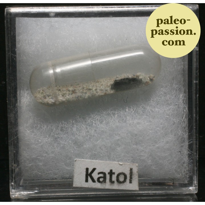 Météorite Chondrite L6 - Katol, Inde