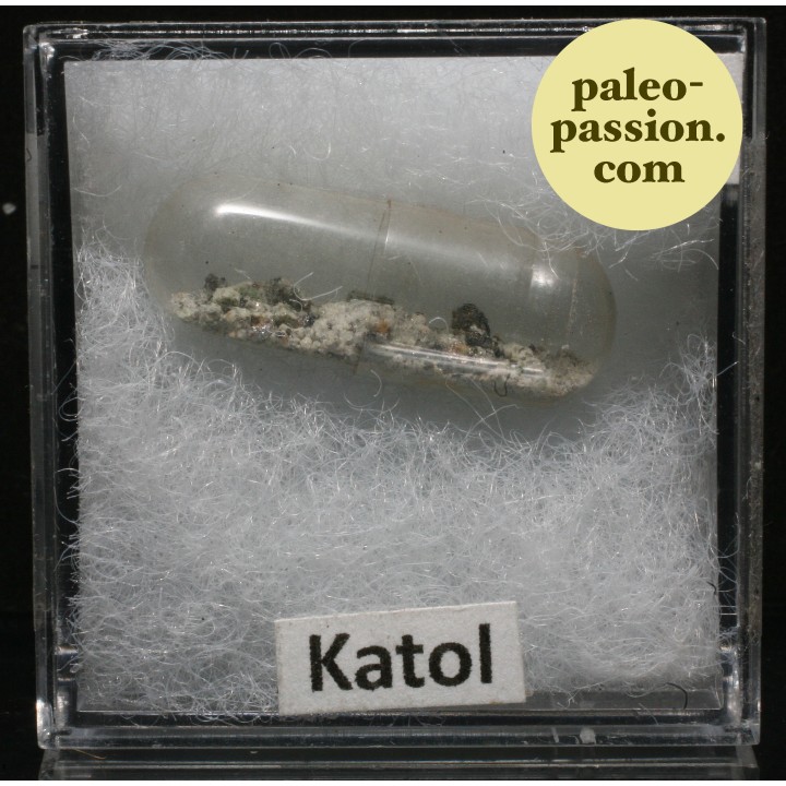 Météorite Chondrite L6 - Katol, Inde