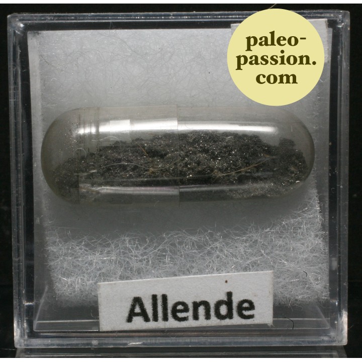Météorite Chondrite Carbonée CV3 - Allende, Mexique
