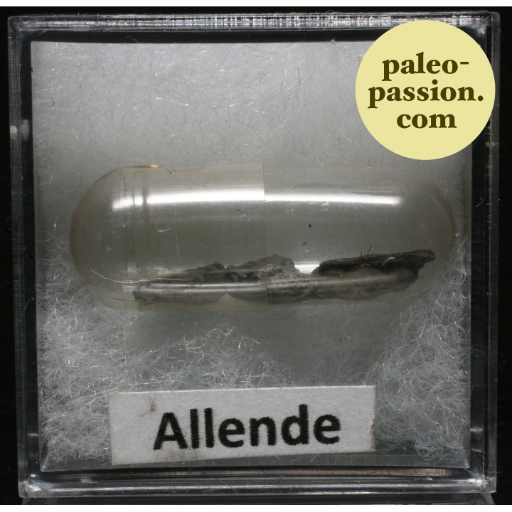 Meteorite Carbonaceous Chondrite CV3 - Allende, Mexico