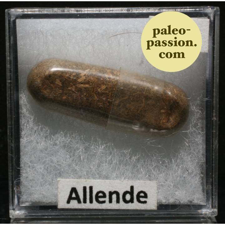 Météorite Chondrite Carbonée CV3 - Allende, Mexique