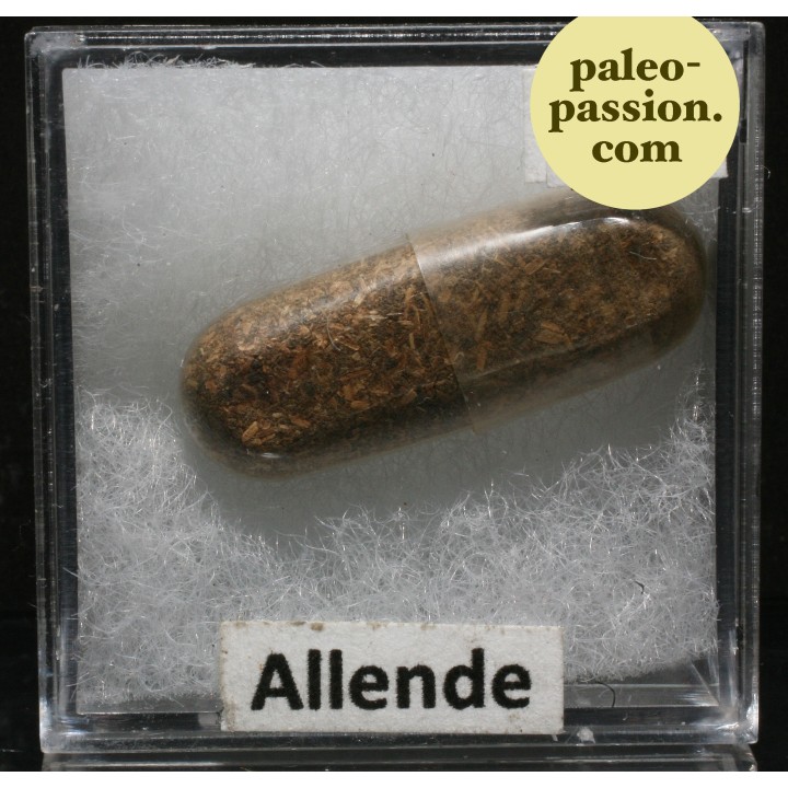 Météorite Chondrite Carbonée CV3 - Allende, Mexique
