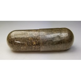 Météorite Chondrite Carbonée CV3 - Allende, Mexique