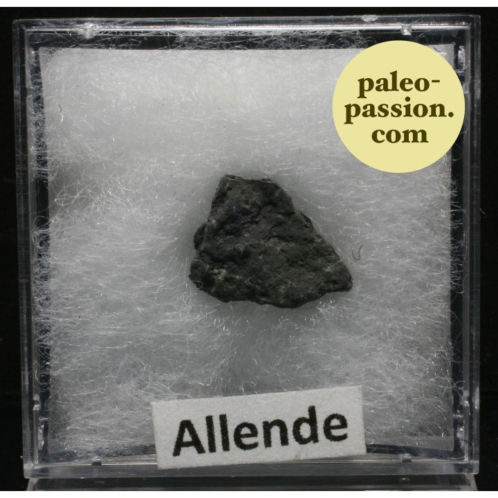 Météorite Chondrite Carbonée CV3 - Allende, Mexique