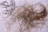 MAMMOTH HAIR from Siberia