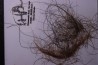 MAMMOTH HAIR from Siberia