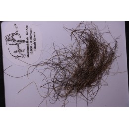 MAMMOTH HAIR from Siberia