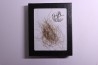 MAMMOTH HAIR from Siberia