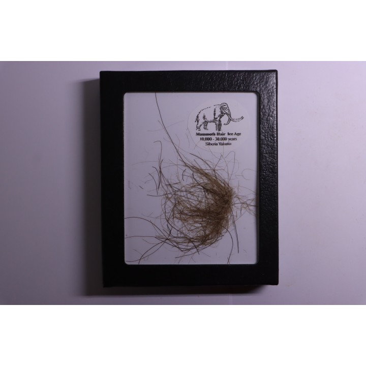 MAMMOTH HAIR from Siberia