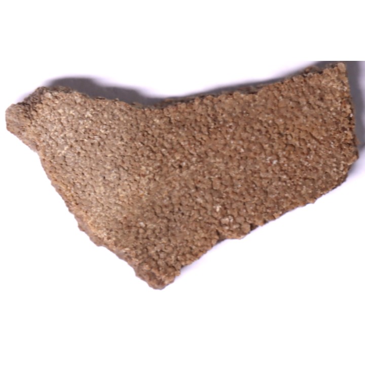 dinosaur titanosaur saltasaurus egg shell